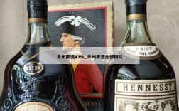 贵州熏酒43%_贵州熏酒全部图片